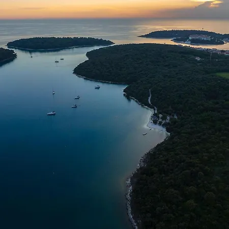 Forest Bay * 풀라
